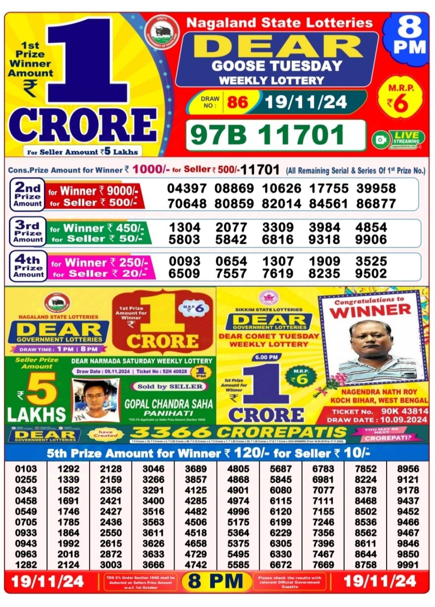 Dear goose Weekly Lottery 8PM Result 19.11.24