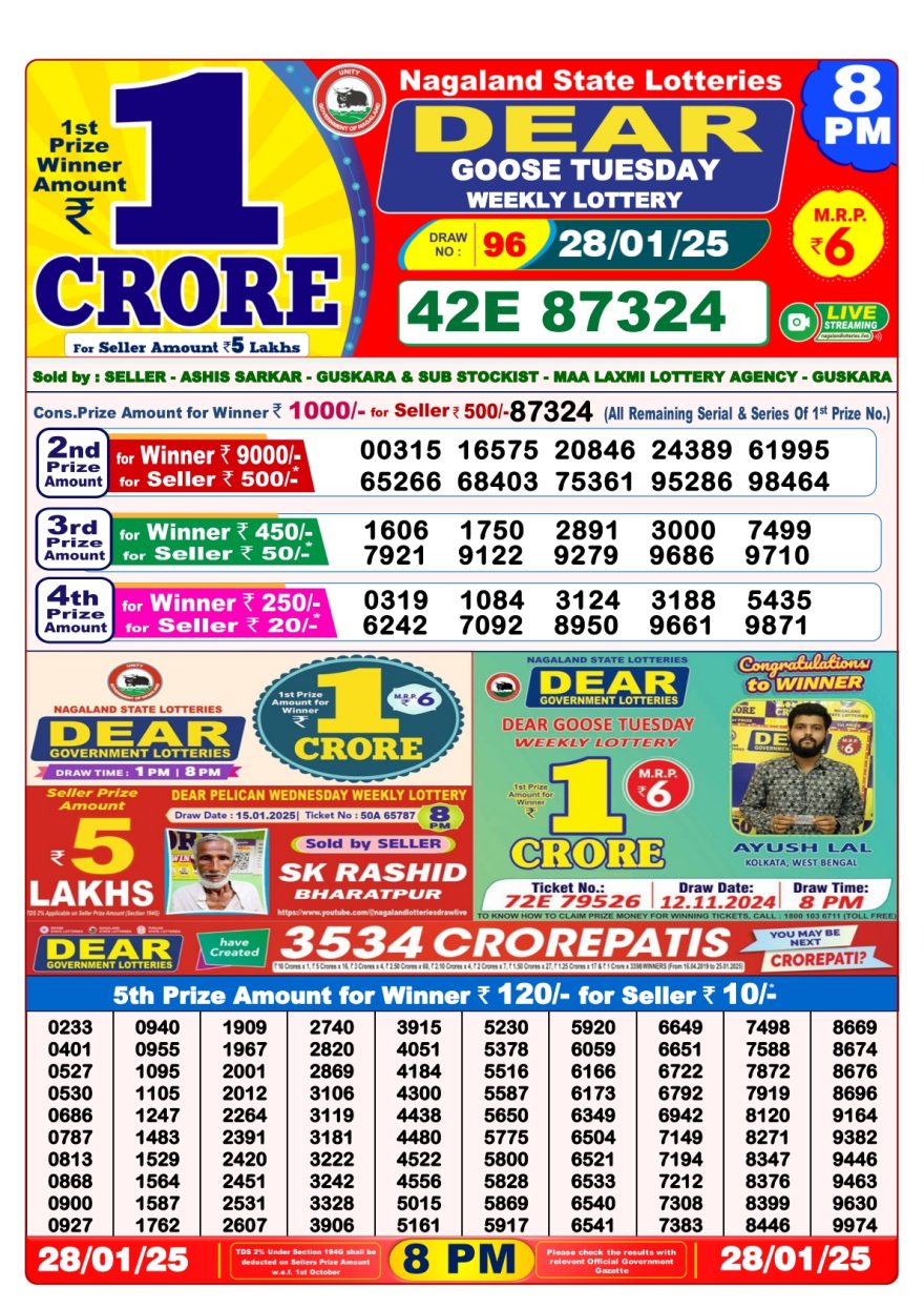 Dear goose Weekly Lottery 8PM Result 28.1.25