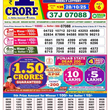 Dear Goose Weekly Lottery 8pm Result 28.10.2025