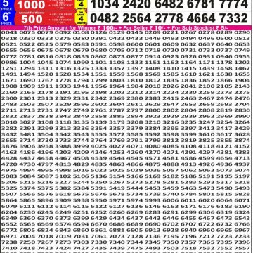 Punjab State Dear 50 6pm Lottery Result 04.11.2025