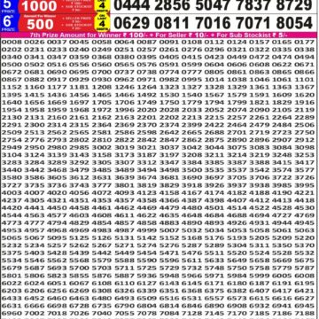 Punjab State Dear 50 6pm Lottery Result 06.12.2025