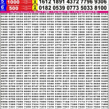 Punjab State Dear 50 6pm Lottery Result 09.12.2025