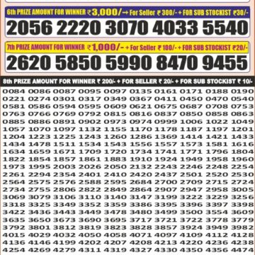 Punjab State Dear 100 Monthly 7:00 PM Result 09.12.2025