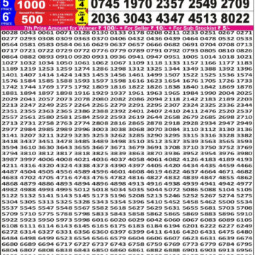 Punjab State Dear 50 6pm Lottery Result 10.12.2025