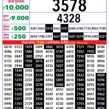 Rajshree Tulip Tuesday Weekly Lottery 4pm Result 30.12.2025