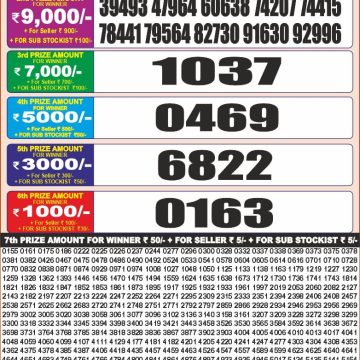Punjab state dear 20 Monthly lottery Result 27.01.2026