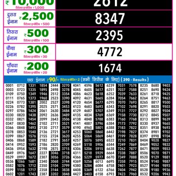 Rajshree Night Lottery 9pm Result 29.01.2026