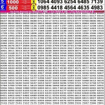 Punjab State Dear 50 6pm Lottery Result 30.01.2026