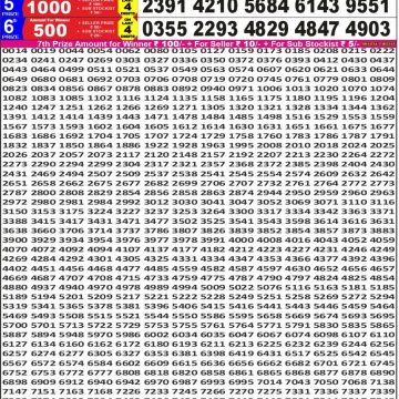 Punjab State Dear 50 5pm Lottery Result 21.02.2026