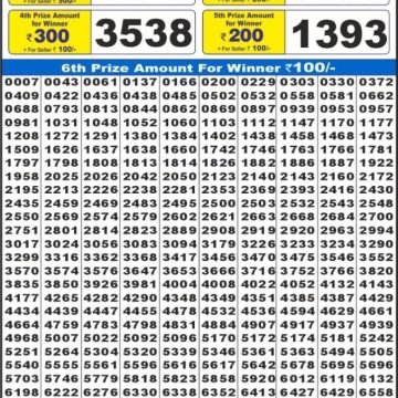 Labh Laxmi Delight Weekly Lottery 4pm Result 25.02.2026
