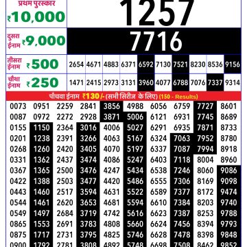 Rajshree Tulip Tuesday Weekly Lottery 4pm Result 17.02.2026