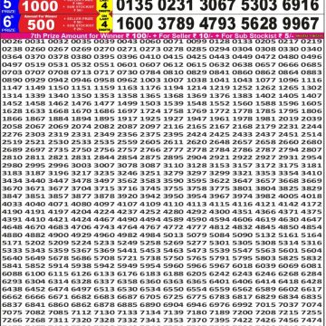 Punjab State Dear 50 5pm Lottery Result 14.03.2026