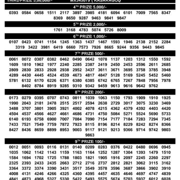 Today Lottery Result Kerala SM-48 Samrudhi 29.03.2026