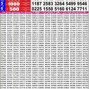 Punjab State Dear 50 6:30pm Lottery Result 16.05.2026