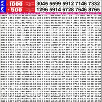 Punjab State Dear 50 6:30pm Lottery Result 24.05.2026