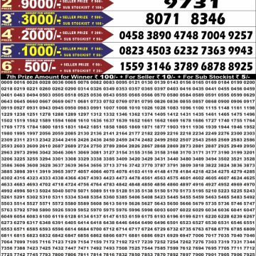Punjab State Dear 50 6:30pm Lottery Result 03.06.2026