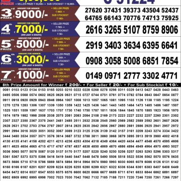 Punjab state dear 100 Monthly Lottery Result 09.06.2026