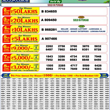 Punjab State Dear Summer Special Bumper Result 2026 13.06.2026