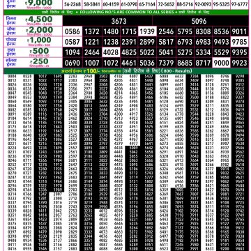 Rajshree 50 Lottery 7:30pm Result 16.06.2026