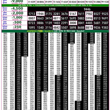 Rajshree 50 Lottery 7:30pm Result 24.08.2026