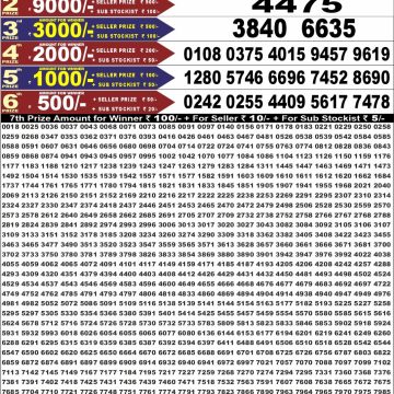 Punjab State Dear 50 6:30pm Lottery Result 03.08.2026