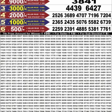 Punjab State Dear 50 6:30pm Lottery Result 07.08.2026