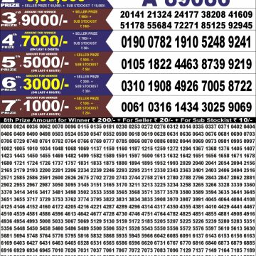 Punjab State Dear 100 Monthly Lottery Result 11.08.2026