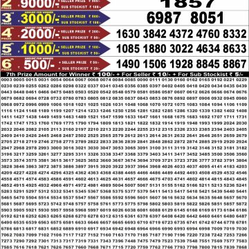 Punjab State Dear 50 6:30pm Lottery Result 18.08.2026