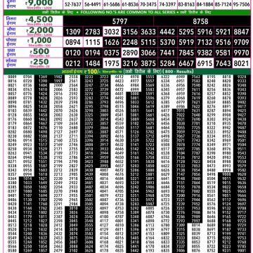 Rajshree 50 Lottery 7:30pm Result 20.08.2026