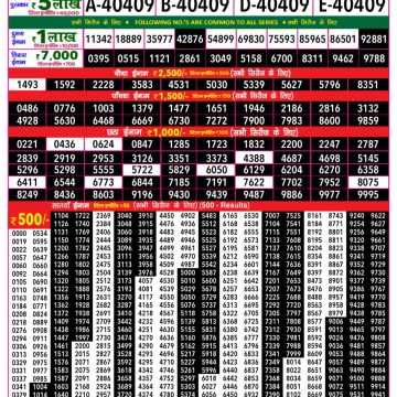Rajshree 200 Monthly Lottery Result Today 20.08.2026 Check Now