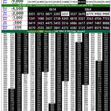 Rajshree 50 Lottery 7:30pm Result 29.08.2026