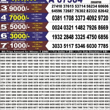 Punjab State Dear 100 Monthly Lottery Result 08.09.2026