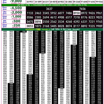 Rajshree 50 Lottery 7:30pm Result 18.10.2026
