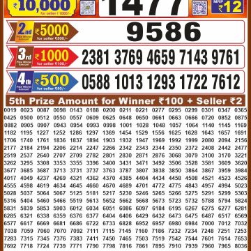 Dear Laxmi Platinum Weekly 8pm Result 23.10.2026